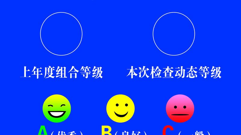 蜜饯果脯与果干的奥秘：优缺点全面解析